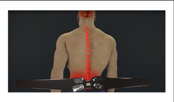 ELECTROTHERAPY STIMULATOR SYSTEM - BELT